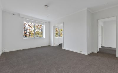 Carpet Buying Guide: Navigating Through Choices