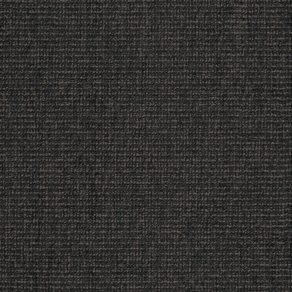 Investa Projects_Carpet_Ashton-Twist-Jackal-min-550x550