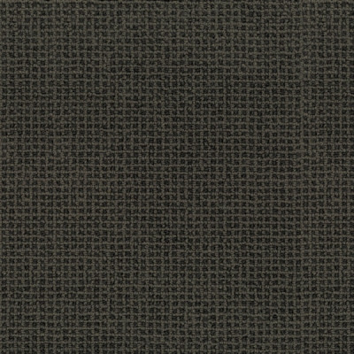 Investa Projects_Carpet_Elmview-Neptune