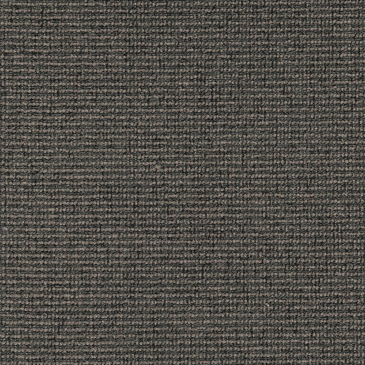 Investa Projects_Carpet_Ashton-Twist-Shadow-min-550x550